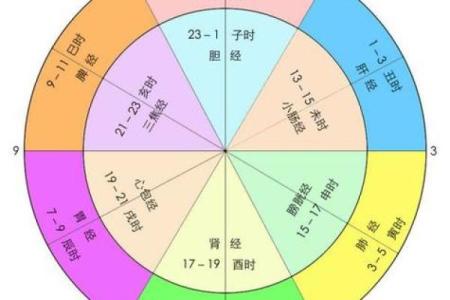 出生的人属于什么生肖及命运解析