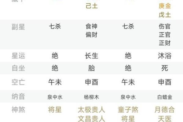 出生的命格分析与运势解析