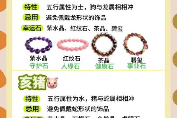五花八门与生肖的奇妙联系揭秘