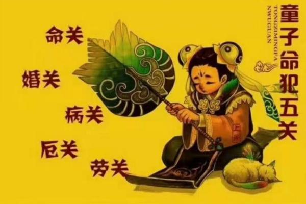 草童子命与传统命理的关系解读