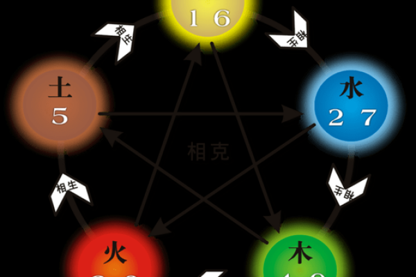 从圣新五行看人生：五种元素如何影响你的未来