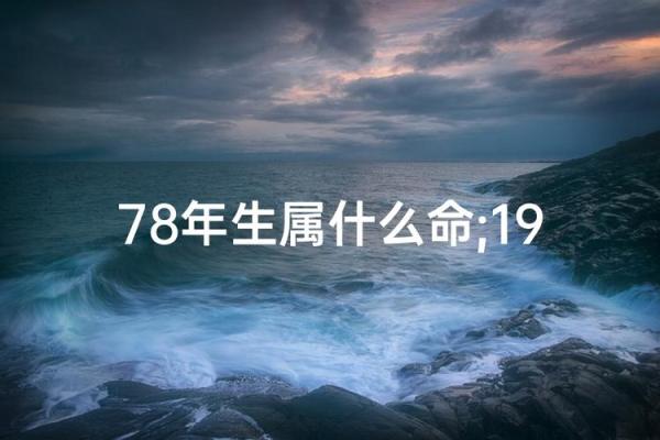 出生人的命运解析与运势特点