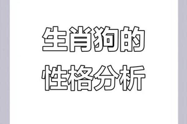 从五行角度看狗的命运特征
