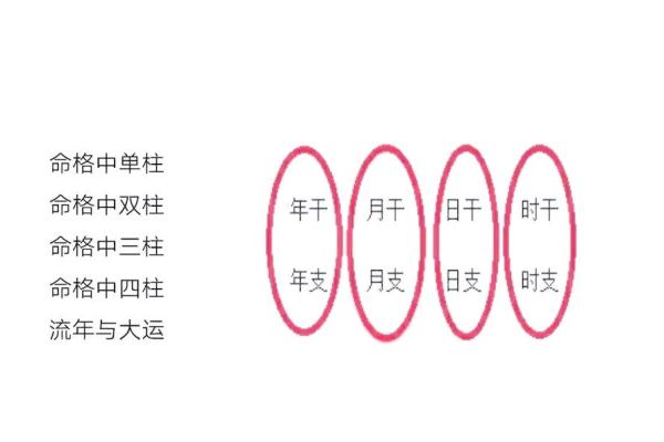生肖运势解析：如何应对挑战和机遇