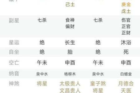 出生的命格分析与运势解析