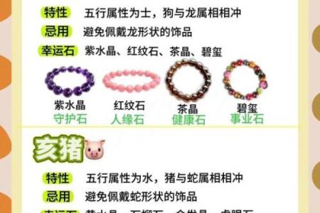 五花八门与生肖的奇妙联系揭秘