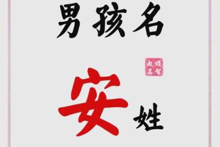 安姓女孩名字大全：优雅与智慧并存