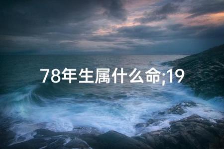 出生人的命运解析与运势特点