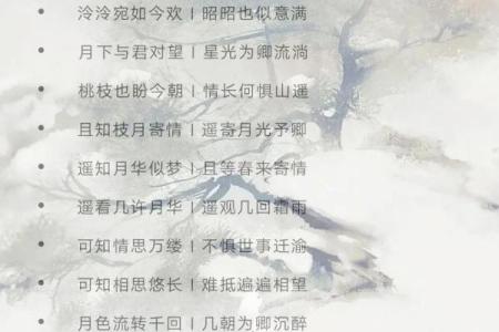 充满诗意和浪漫的名字