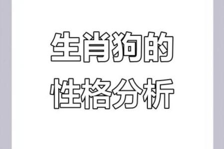 从五行角度看狗的命运特征