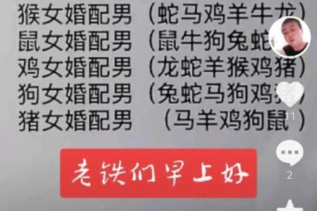 从星座角度看鸡男与蛇女的配对优势与挑战