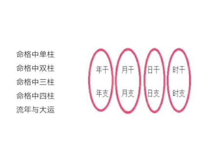 生肖运势解析：如何应对挑战和机遇