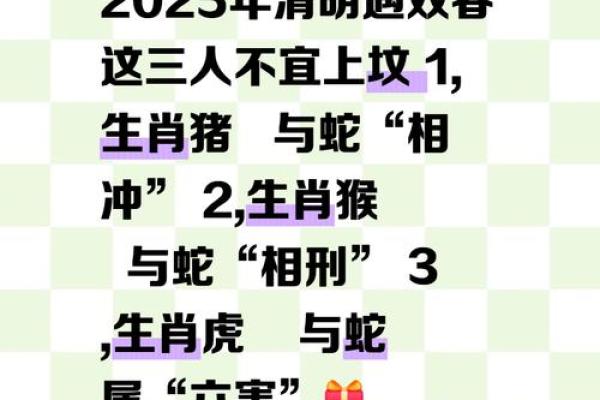 属虎女和属蛇男是否合适的深度探讨