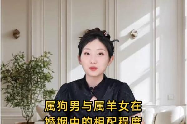 男属羊与女属牛的婚姻生活能否和谐