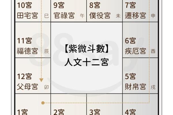 紫薇运程解析：生肖运势大揭秘