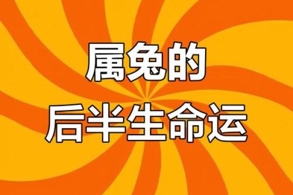 生肖运程每月分析，揭开每月的好运与挑战