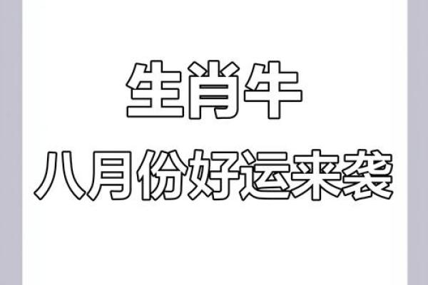 属牛运势大揭秘：事业、财富与感情运程分析