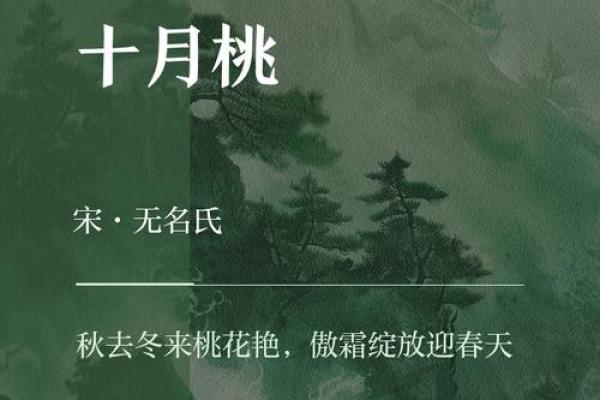 农历十月的雅称，带你体验中国古代的韵味与智慧