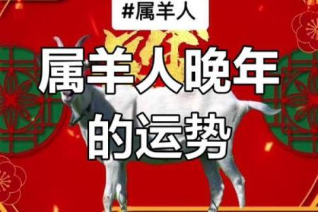 属羊人的命运与生活运势全解析