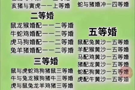 属羊和属猪的缘分如何 适合做伴侣吗