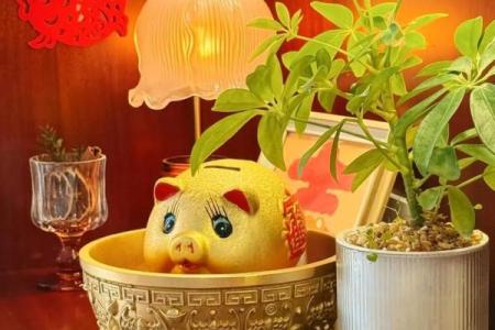 窗台上放什么有助于提升财运和健康