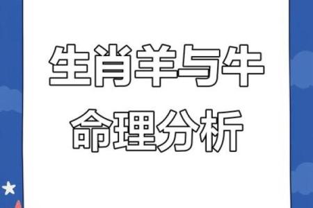 羊和牛能否相配的五个关键因素解析