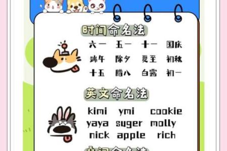 宠物公司命名创意大全，助你轻松找到完美名字