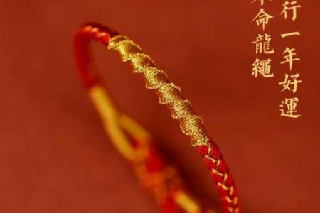 本命年龙女如何发展自己的副业