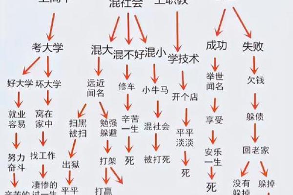 出生的人命理分析与生活轨迹