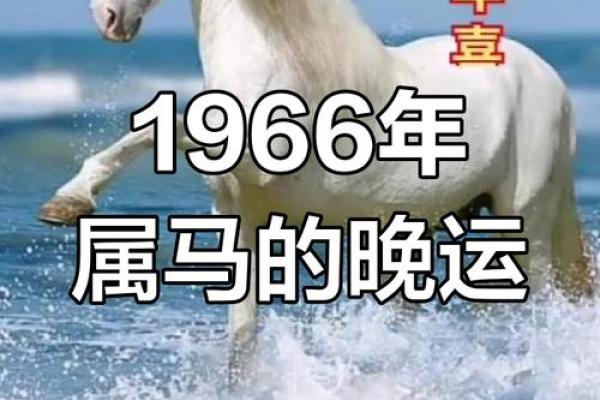 年健康运势：属马人如何保持身心平衡