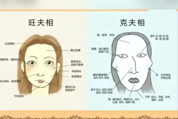 从命理角度解读半夫之命的成因与特点