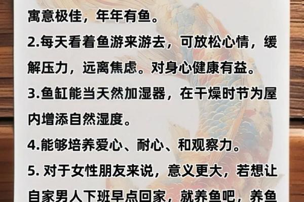 办公环境中养鱼的风水禁忌与吉祥寓意解析