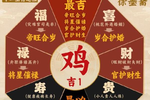 鸡与属相的缘分：哪些搭配最默契
