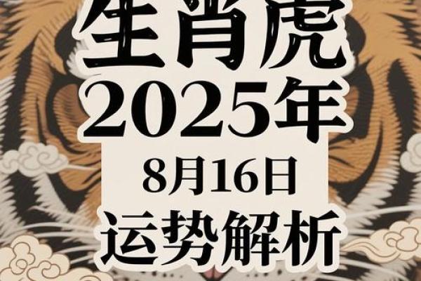 生肖运势分析：如何迎接这一年的挑战与机遇