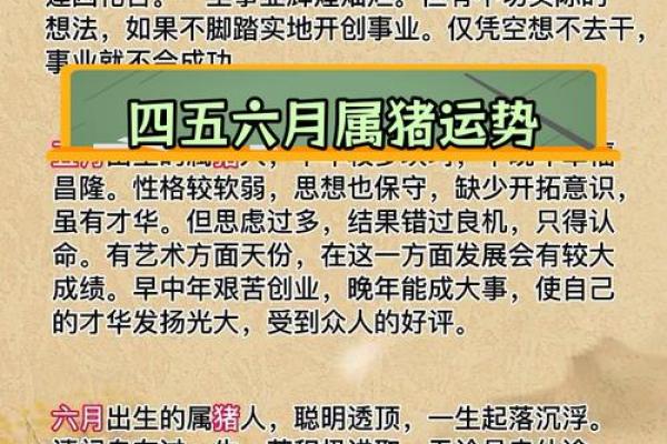 出生的你年命解析及命运特点