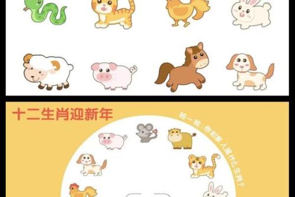 属什么生肖？揭示未来一年的生肖秘密