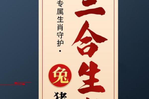 属什么生肖？揭示未来一年的生肖秘密