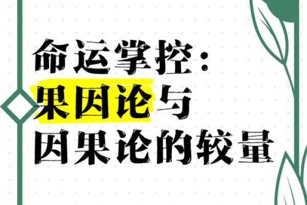 从高命论看人生：我们是否真的能掌控命运