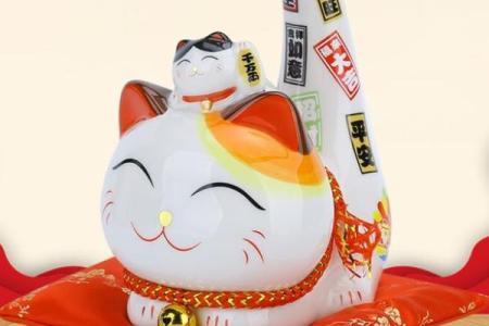 本命年虎男适合什么类型的投资