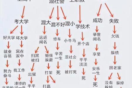 出生的人命理分析与生活轨迹