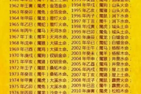 出生的人属什么生肖和五行分析，影响你一生的命运密码