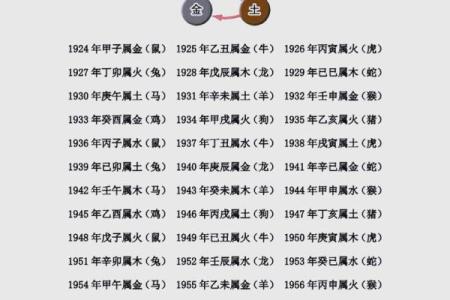 八层五行与命运的关系：如何通过五行调整运势