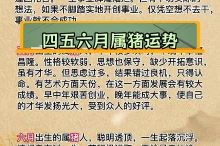 出生的你年命解析及命运特点