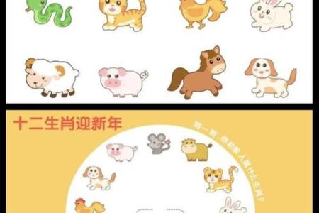 属什么生肖？揭示未来一年的生肖秘密