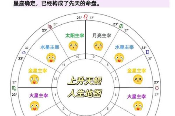 出生的命理分析与人生轨迹
