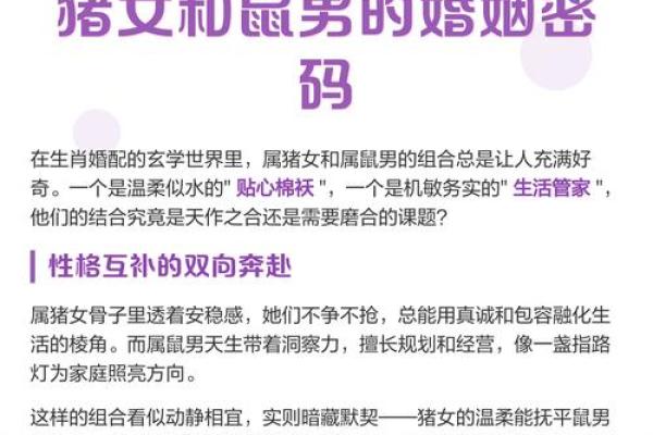 属猪男女配对优势与挑战全解析