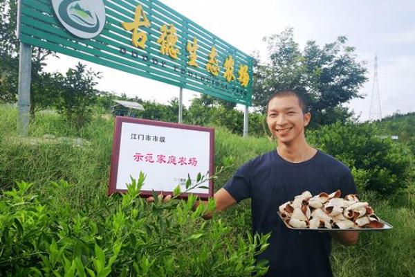 打造独特的家庭农场名字，提升农场魅力