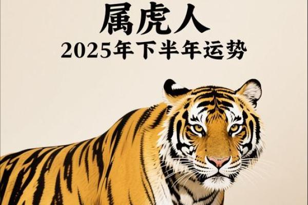 属虎的每月运势与运程分析，掌握好运之道