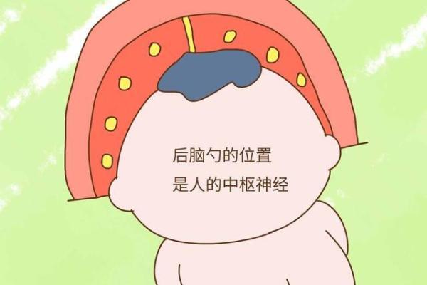 巴掌命的含义与背后的文化象征