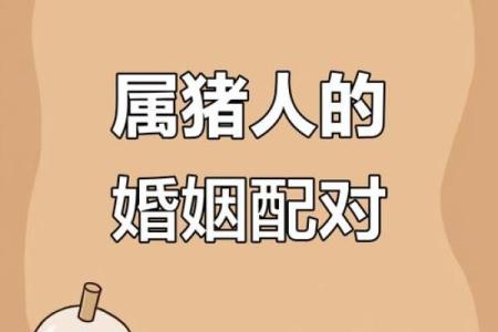 属猪男女配对优势与挑战全解析